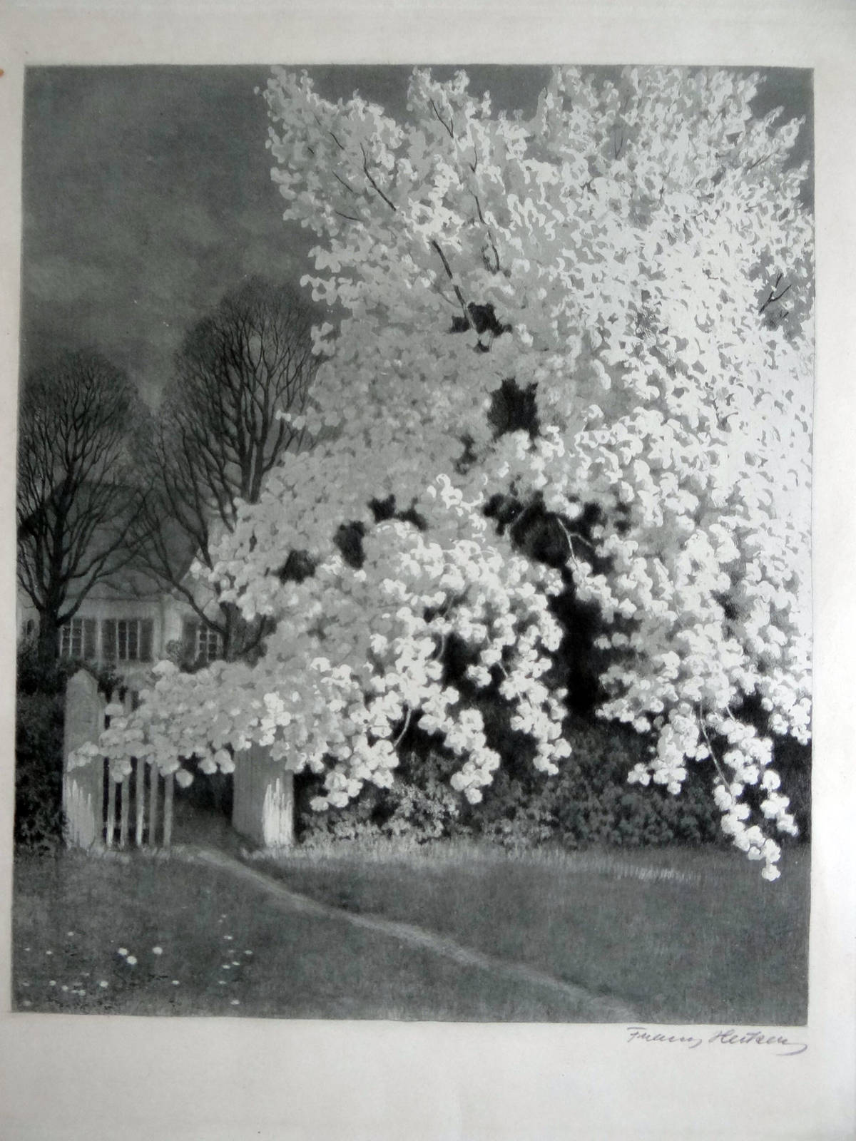 Franz Hecker Unser Apfelbaum nahansicht