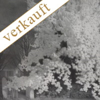 Franz Hecker - Apfelbaum - verkauft