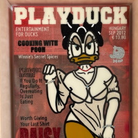 appollo-Playduck_Hungary_09_12_ger.-angebot