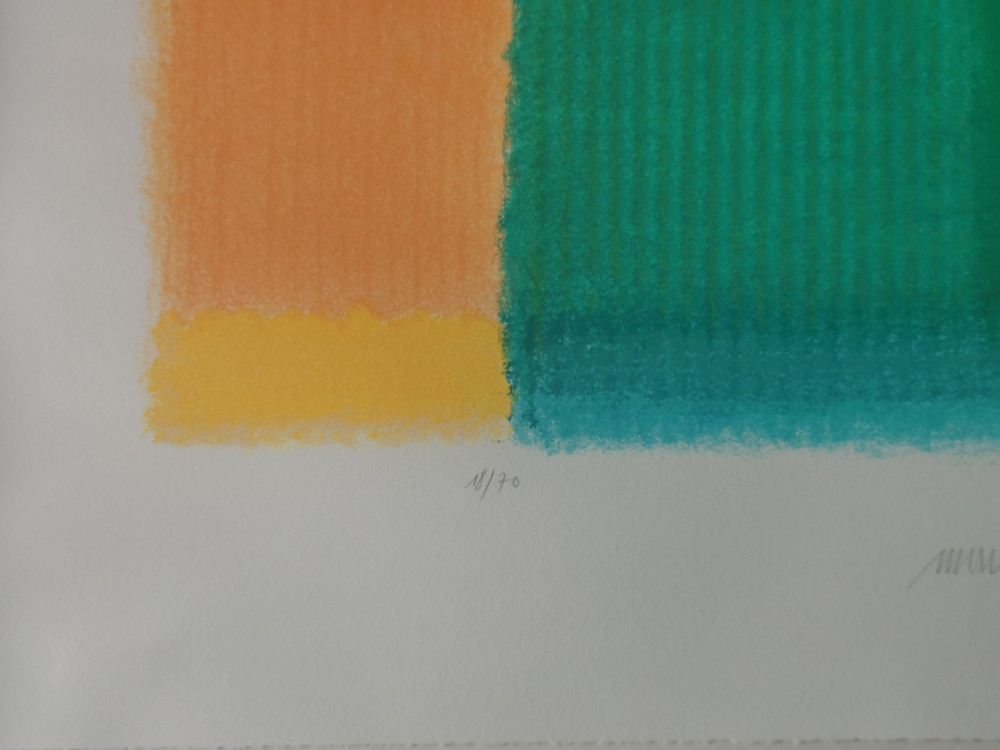 heinz-mack-le-jardin-auflage